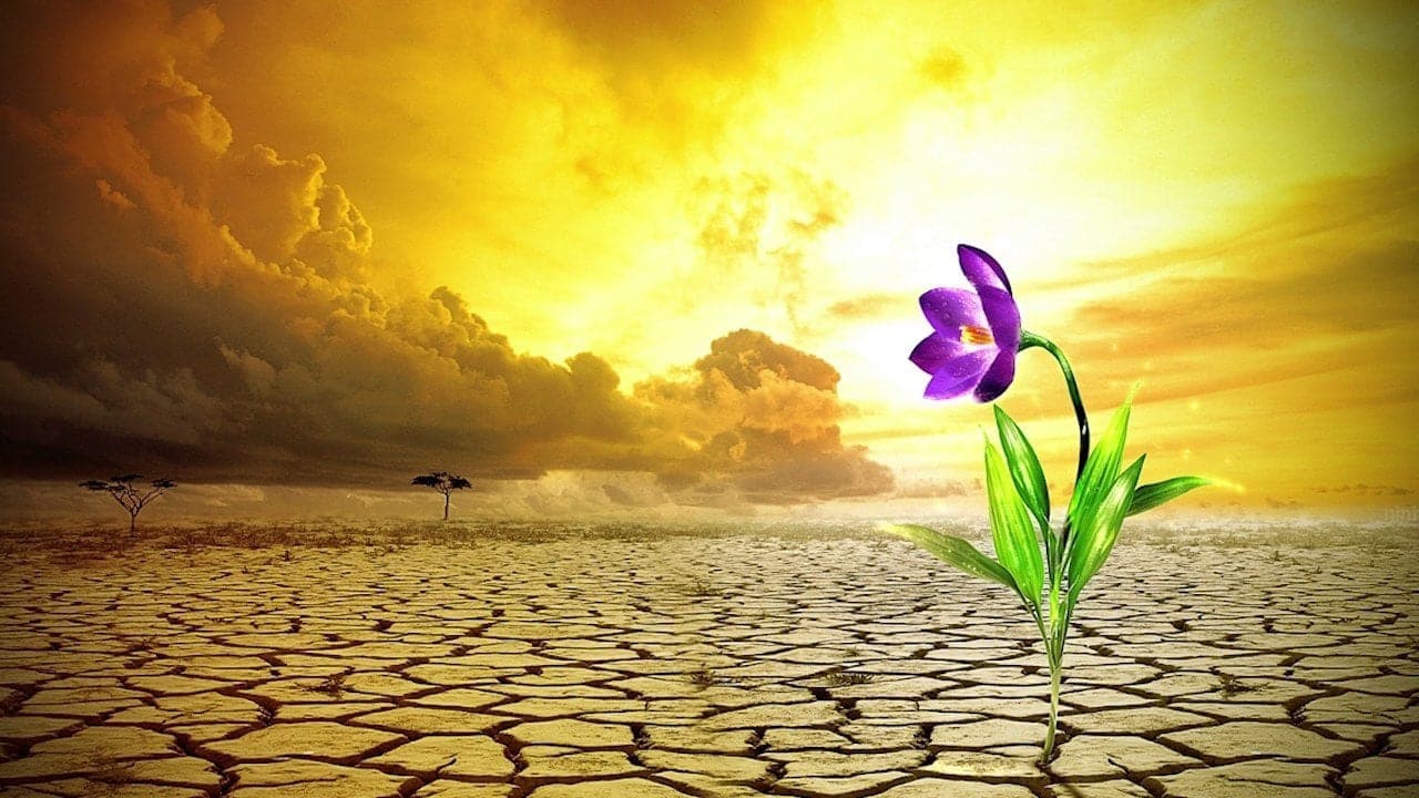 Simpatia para conseguir algo impossível