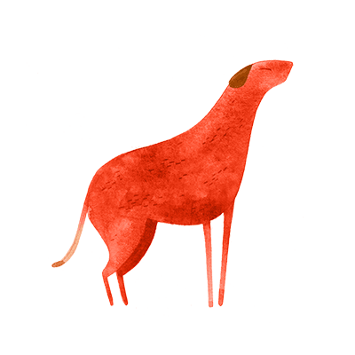 horóscopo chines cão
