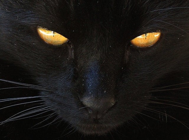 sexta feira 17 magia