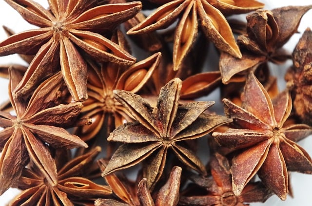 banho de anis estrelado
