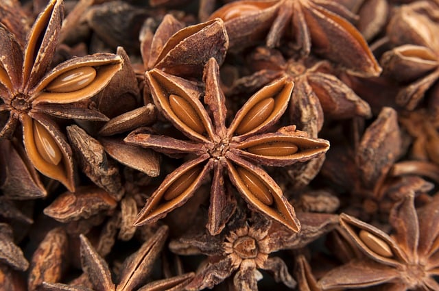 banho de anis estrelado