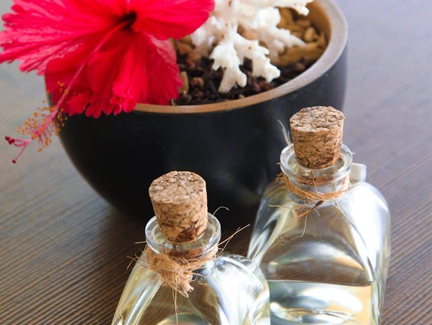 6 essências florais para aumentar a concentração e alcançar metas