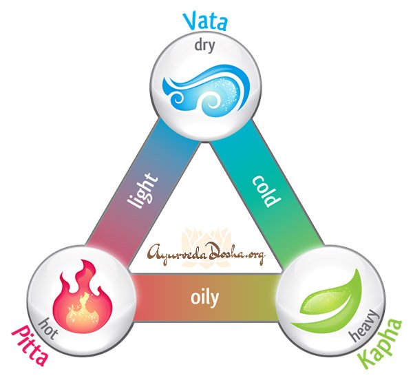 Descubra os elementos dos doshas que definem o seu biotipo na Ayurveda.