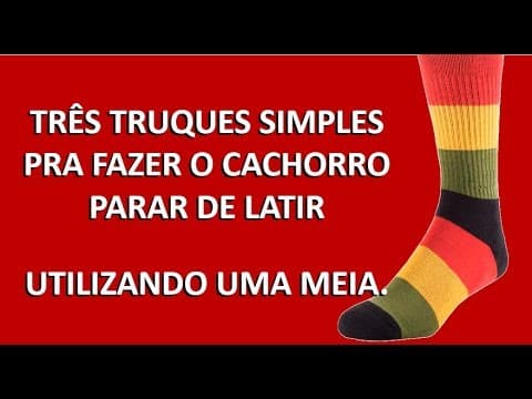 Feitiços para fazer seu cachorro parar de latir