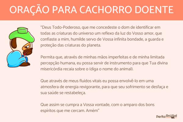 Reza poderosa para curar cãozinho doente: aprenda agora!