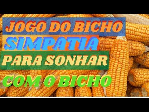 Ritual infalível para ganhar no jogo do bicho