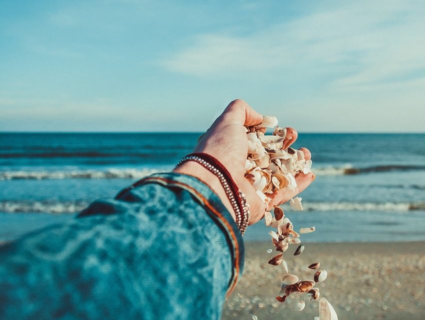 Teste de Personalidade das Três Conchas em Site de Simpatias